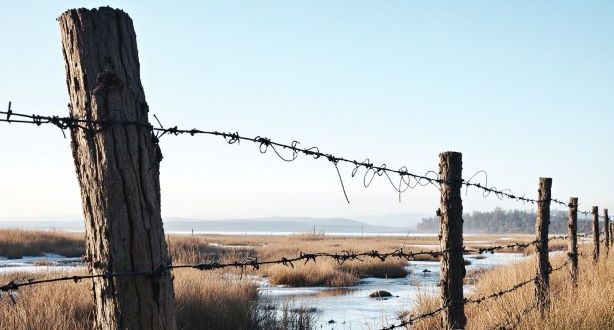 Wire Creek